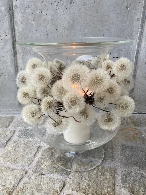 Pusteblumen-Arrangement in Glasgefäss mit Kerze
